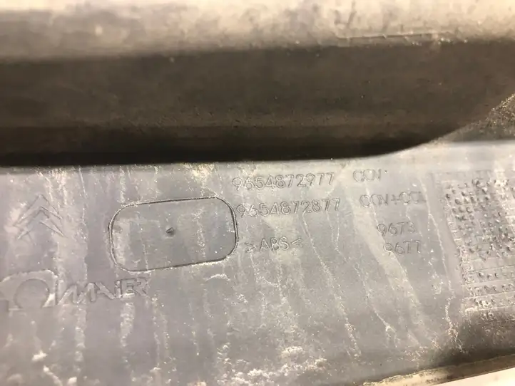 Citroen C4 I Picasso (2006 - 2013) 9654872977 Подсветка номера — фото 7