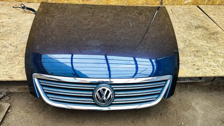Volkswagen Phaeton (2002 - 2008) 3D0823480E Замок капота — фото 1