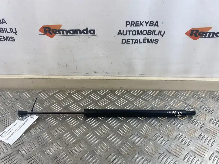 Renault Modus (2007 - 2012) 8200665709 Газовый упор капота — фото 1