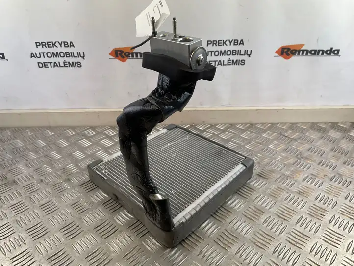 Fiat Ducato (2014 - ) A31102500 Испаритель кондиционера — фото 5