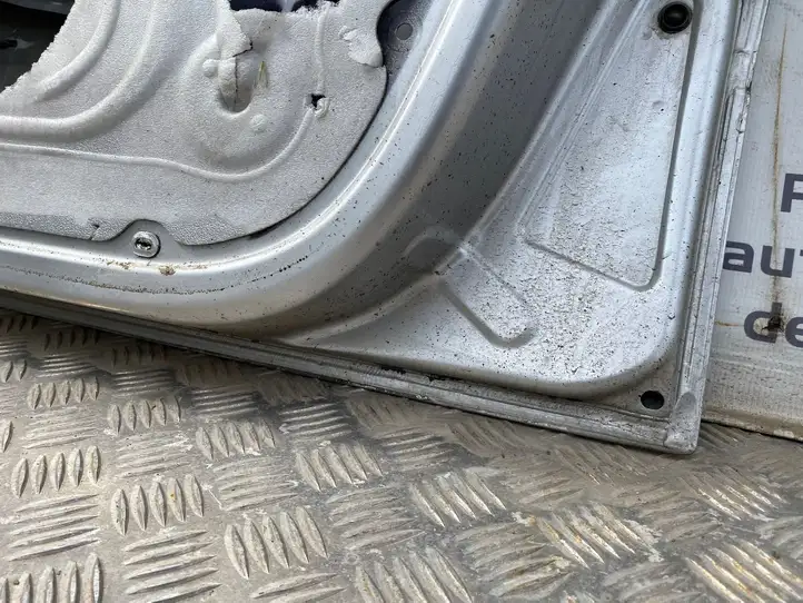 Renault Modus (2007 - 2012) Дверь — фото 8