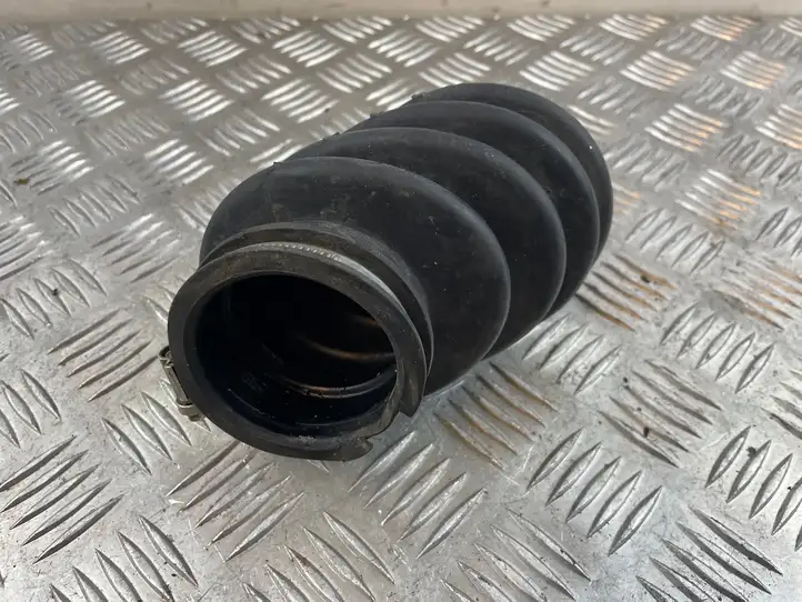 Ford Ecosport (2013 - 2018) CN119R504CA Детали воздухозаборника — фото 5
