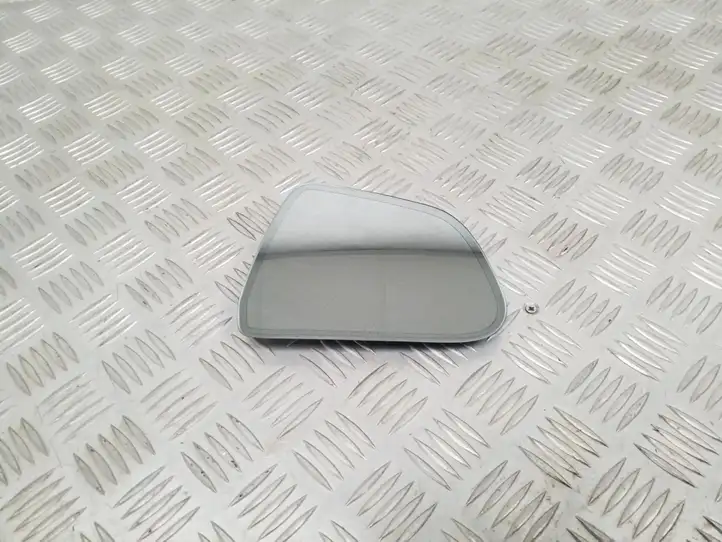Tesla Model 3 (2017 - 2023) 9252456001 Стекло бокового зеркала — фото 1