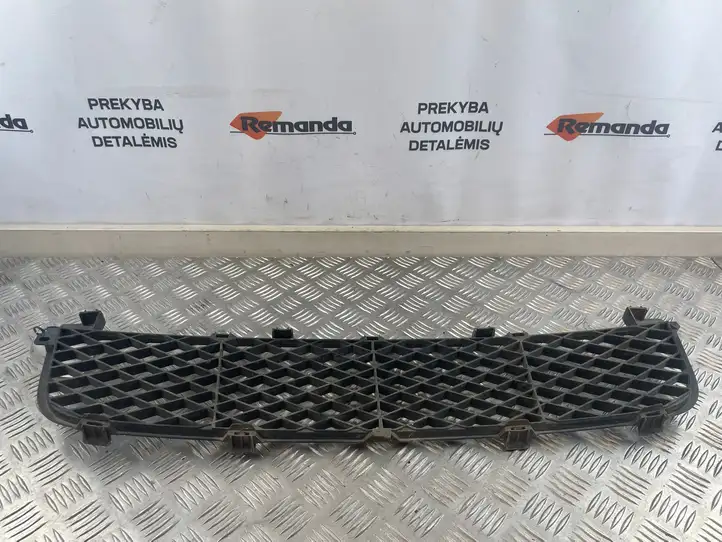 Suzuki Grand Vitara II (2005 - 2008) 7172165J0 Нижняя решетка переднего бампера — фото 5