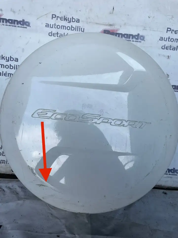 Ford Ecosport (2013 - 2018) Обшивка ниши запасного колеса — фото 5