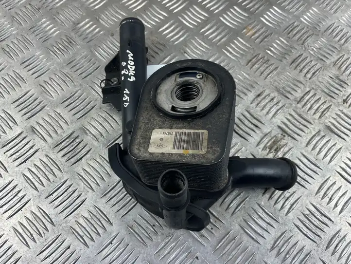 Renault Modus (2007 - 2012) 779744 Кронштейн масляного фильтра — фото 4