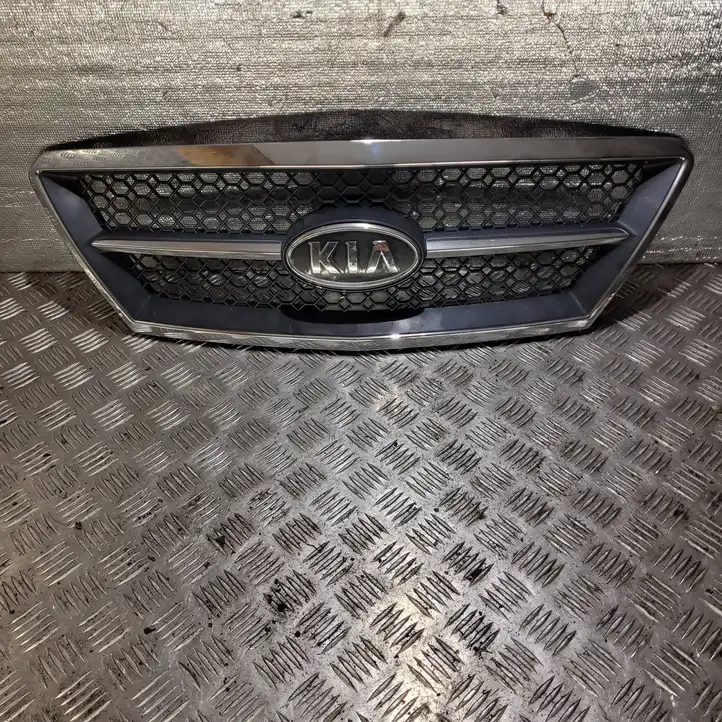 Kia Sorento (2002 - 2006) Передняя решетка — фото 2