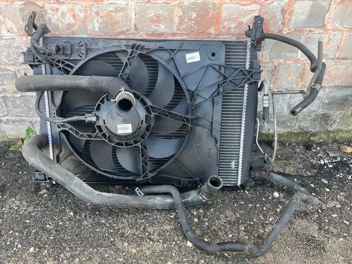 Nissan Qashqai (2006 - 2010) 989567C Радиатор охлаждающей жидкости двигателя — фото 1