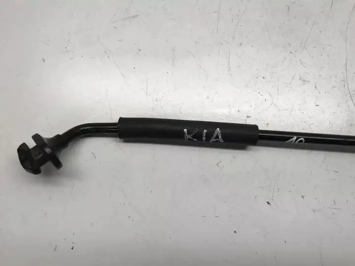 (2005 - 2010) Опорные кронштейны капота — фото 2