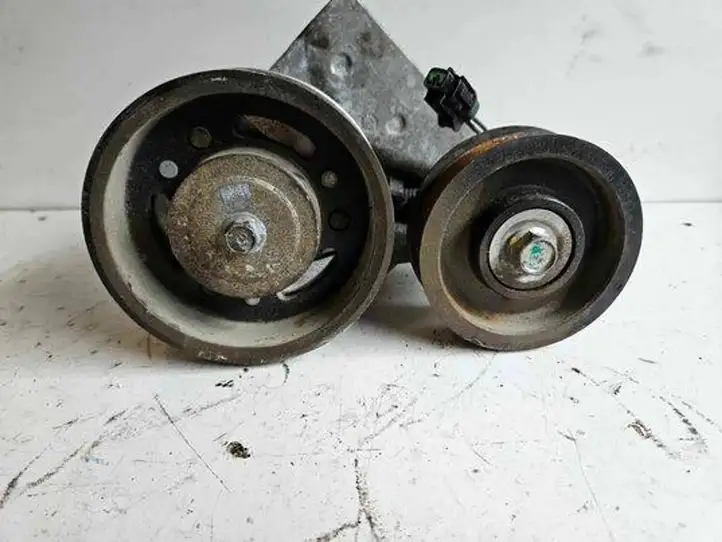 Nissan Micra (2010 - 2013) 100804B087 Натяжитель ремня генератора — фото 3