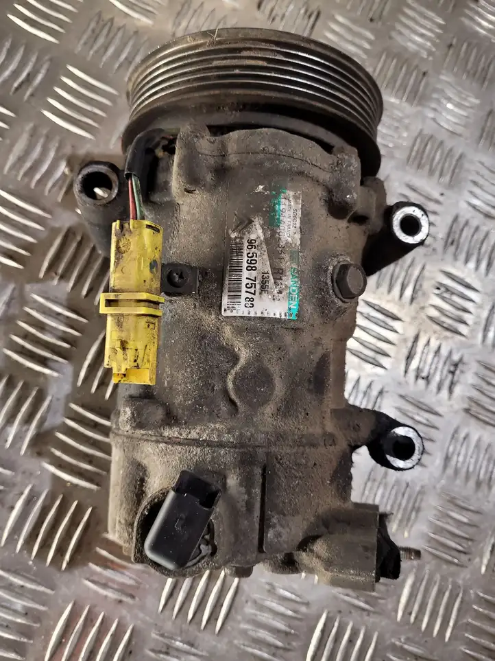 Citroen C4 (2008 - 2011) 9659875780 Компрессор (насос) кондиционера воздуха — фото 2