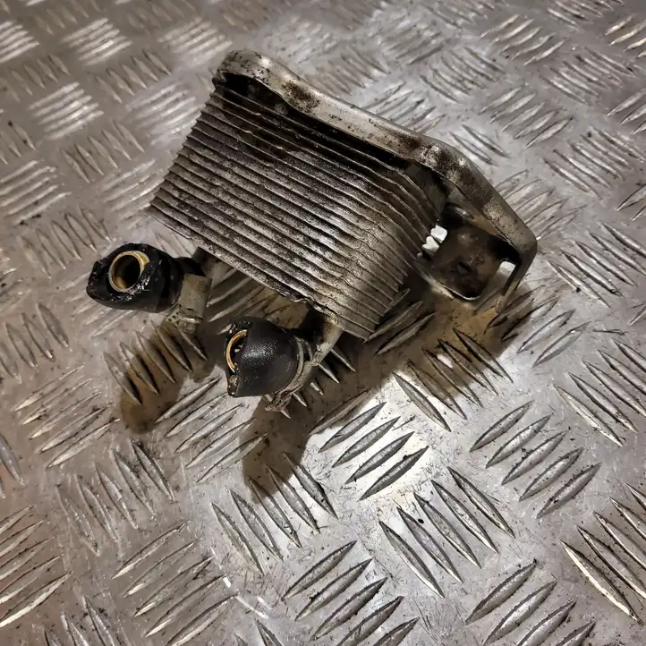 Opel Astra H (2004 - 2009) 8973729421 Кронштейн масляного фильтра — фото 1