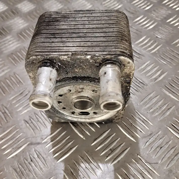 (2005 - 2010) Кронштейн масляного фильтра — фото 1