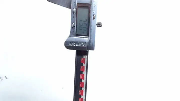 BMW 1 E81 E87 (2004 - 2011)  19555R1687V Летняя покрышка (покрышки) R 16