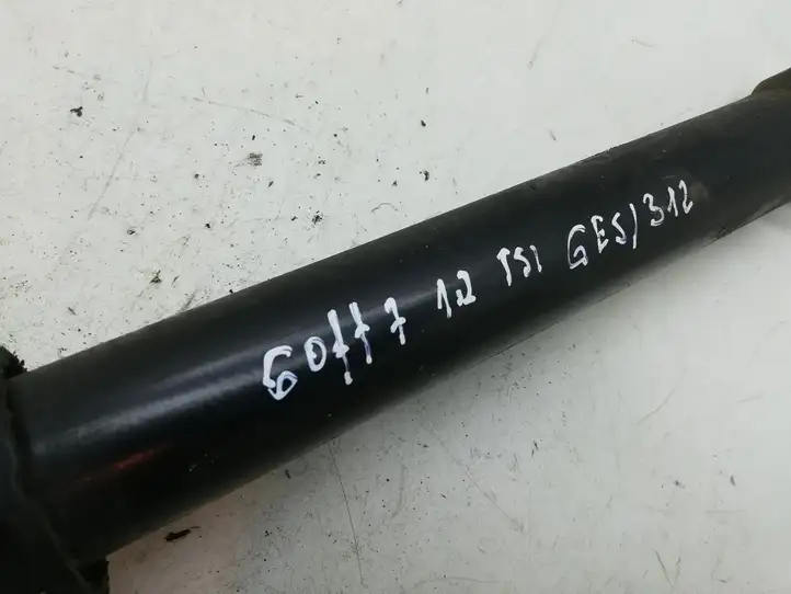 Volkswagen Golf VII (2013 - 2019)  5Q0513425F Задний амортизатор с пружиной