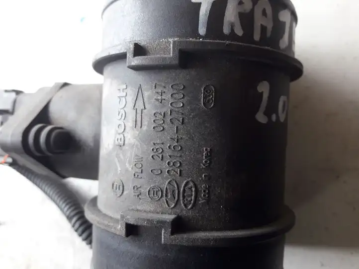 Hyundai Trajet (2000 - 2004) 0281002447 Датчик массового расхода воздуха — фото 2