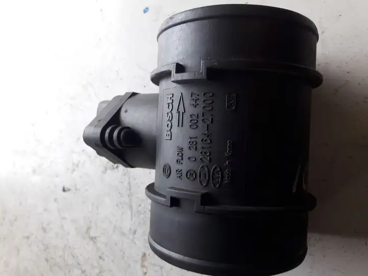 Hyundai Trajet (2000 - 2004) 0281002447 Датчик массового расхода воздуха — фото 1
