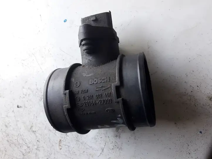 Hyundai Trajet (2000 - 2004) 0281002447 Датчик массового расхода воздуха — фото 1