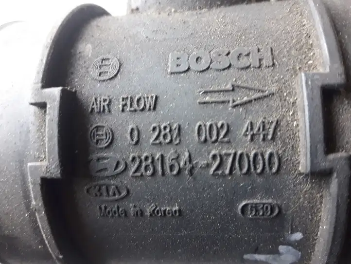 Hyundai Trajet (2000 - 2004) 0281002447 Датчик массового расхода воздуха — фото 2