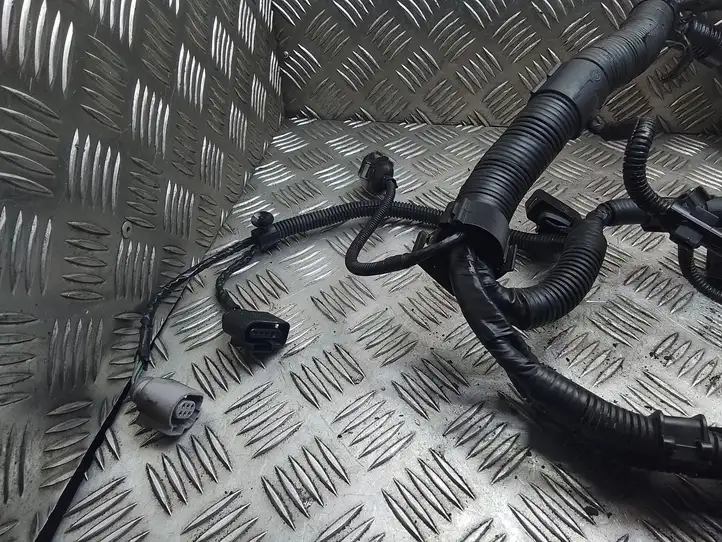 Volkswagen Transporter - Caravelle T5 (2003 - 2009) 7H0971087DA Проводка двигателя — фото 4