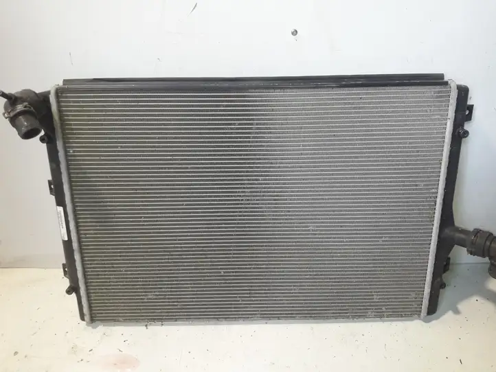 Skoda Octavia Mk2 (1Z) (2004 - 2013) 1K0121251DM Радиатор охлаждающей жидкости двигателя — фото 1