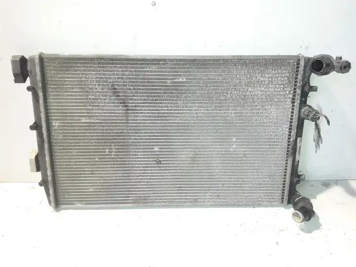 Seat Leon (1P) (2005 - 2012) 6Q0121253R Радиатор охлаждающей жидкости двигателя — фото 1