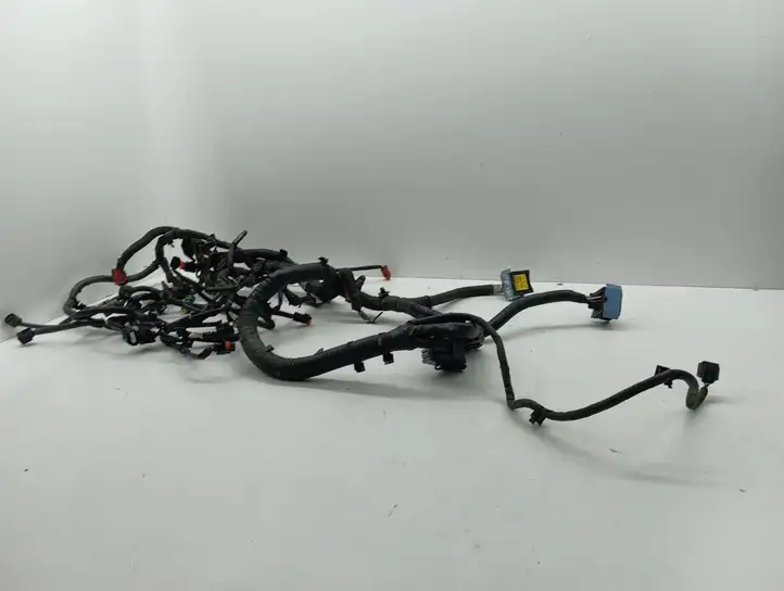 Nissan Juke I F15 (2010 - 2018) 240111KB0B Проводка двигателя — фото 2