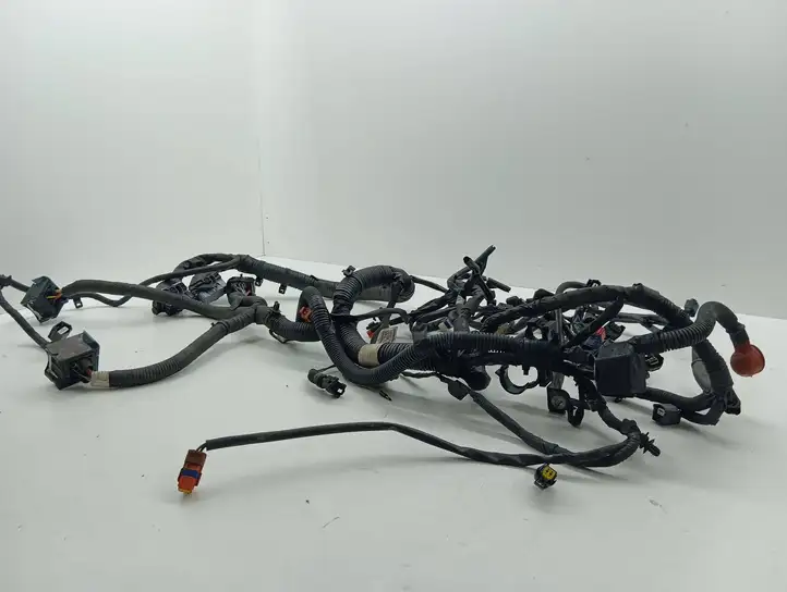 Nissan Juke I F15 (2010 - 2018) 240111KB0B Проводка двигателя — фото 3