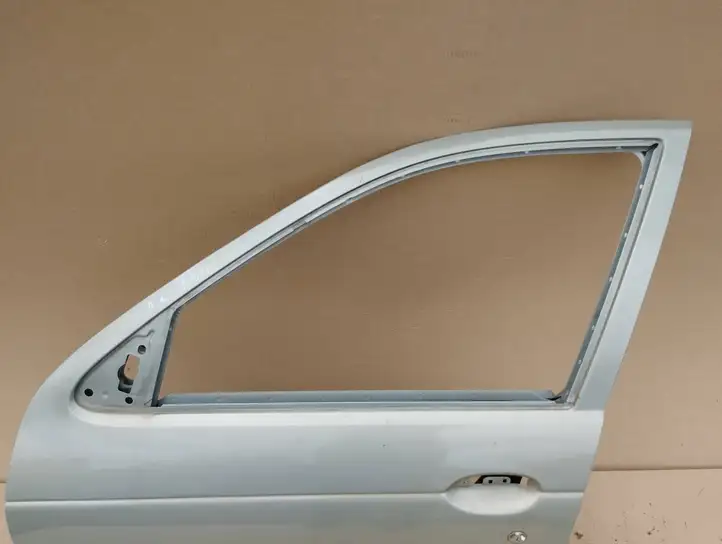 Renault Megane I (1995 - 2002) Дверь — фото 7