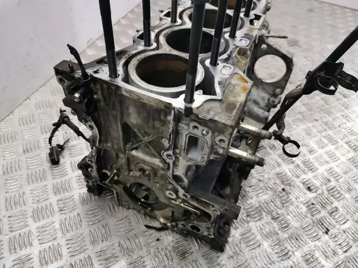Toyota Corolla Verso AR10 (2004 - 2009) 2AD Блок двигателя — фото 8