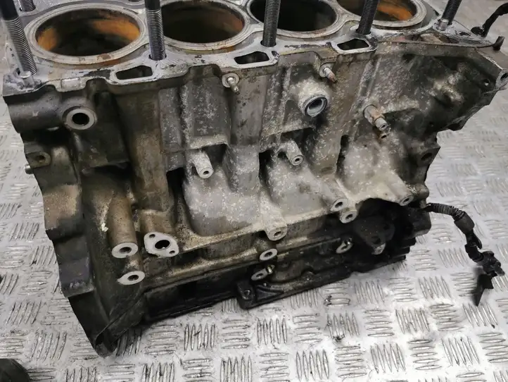 Toyota Corolla Verso AR10 (2004 - 2009) 2AD Блок двигателя — фото 9
