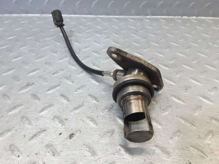 7807686 BMW 5 F10 F11 EGR termostatas