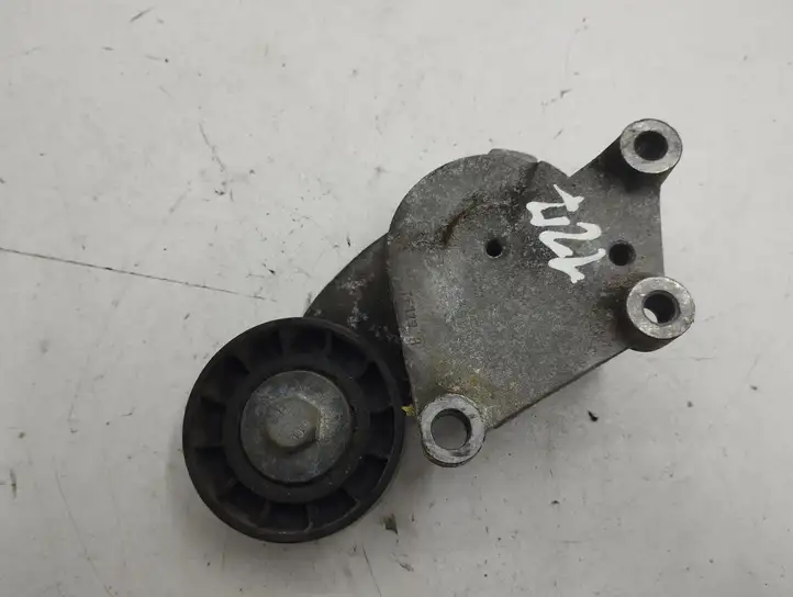 Ford Focus   846143 Устройство натяжки ремня