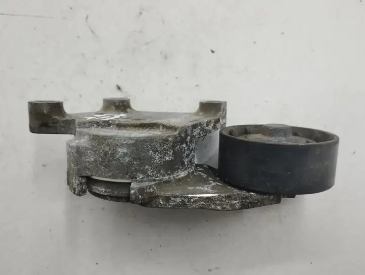 Ford Focus   846143 Устройство натяжки ремня