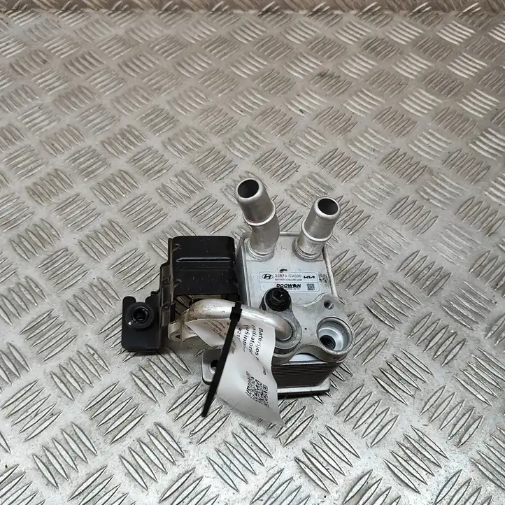 Kia EV6   25670CV000 Вентилятор гибридного / электрического автомобиля