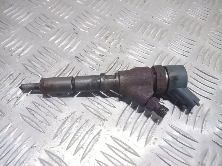 Peugeot 307 (2001 - 2005)  0445110076 Жиклер (жиклеры) (форсунка (форсунки)