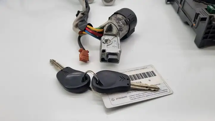 Citroen Berlingo (2003 - 2007) 9663944680 Комплект системы зажигания — фото 5
