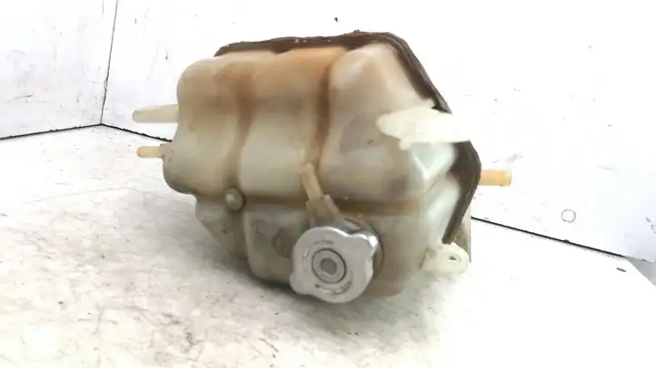 Nissan Pathfinder R51 (2005 - 2012) Расширительный бачок — фото 6