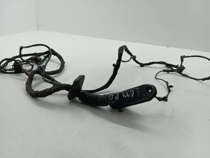 Mini Cooper Countryman R60 (2010 - 2016) 9805462 Проводка передней двери — фото 4