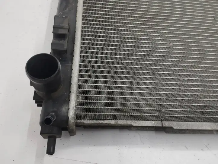 Nissan Juke I F15 (2010 - 2018) 21410BA62A Радиатор охлаждающей жидкости двигателя — фото 6
