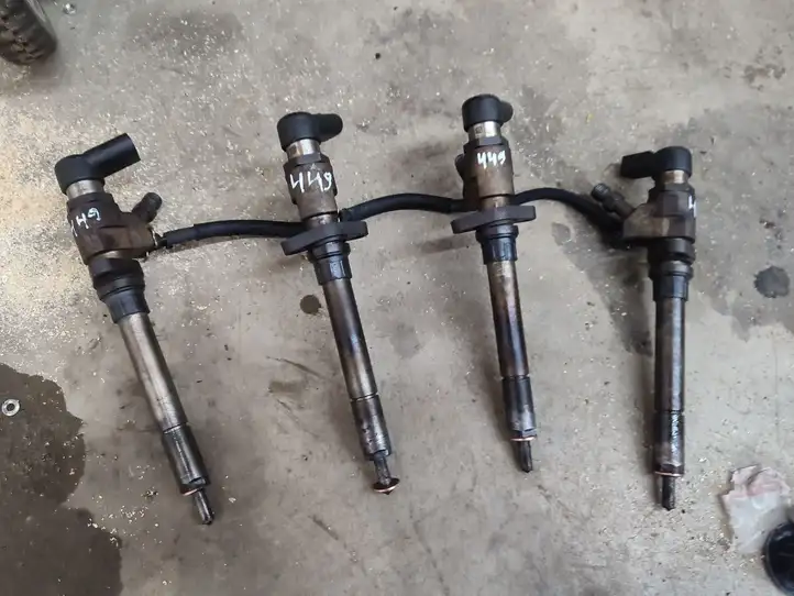 Citroen C4 I Picasso (2006 - 2013) 9658194180 Комплект жиклеров ГБО — фото 2