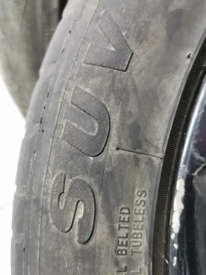 BMW X5 E70 (2006 - 2013) 25550R19 Зимняя шина R19 — фото 10