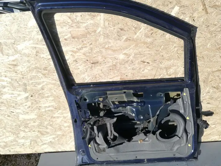 Volkswagen Sharan (2003 - 2010) Дверь — фото 4