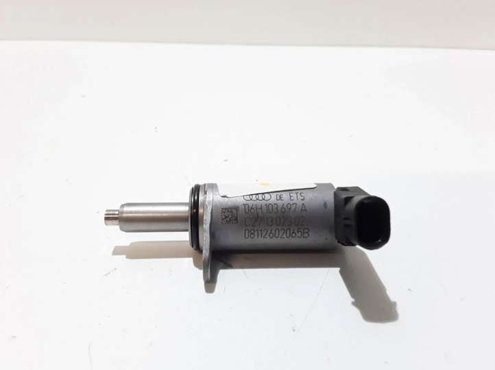 06H103697A Audi A4 S4 B8 8K Pritraukėjas/ solenoidas