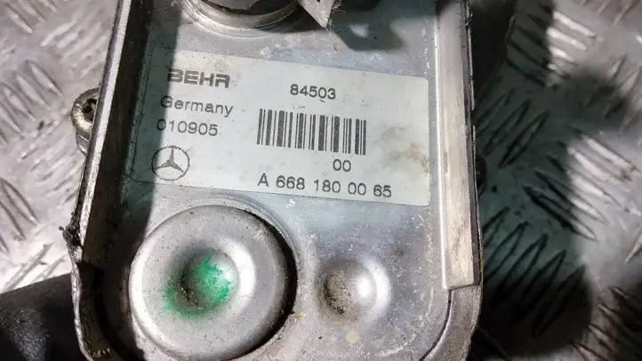 Mercedes-Benz Vaneo W414 (2001 - 2005) A6681800210 Кронштейн масляного фильтра — фото 3
