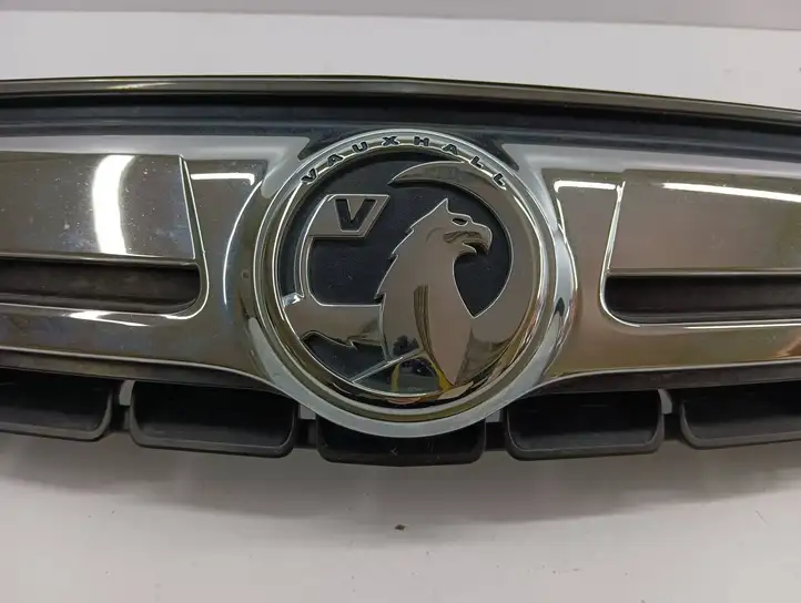 Opel Antara (2011 - 2017) 25983424 Верхняя решетка радиатора — фото 6
