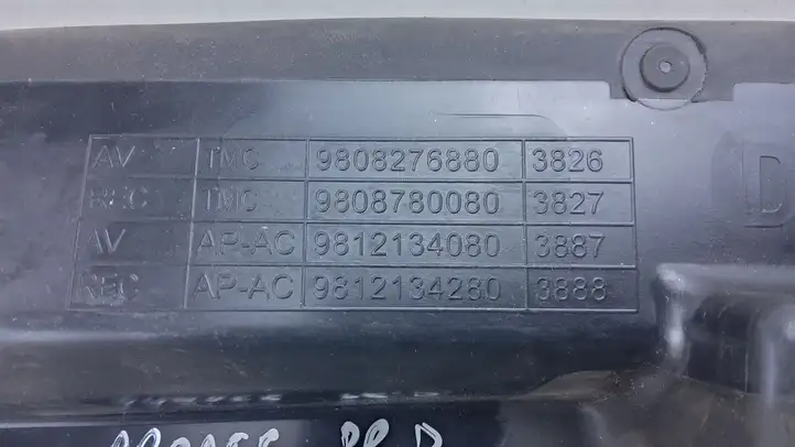 Toyota ProAce City (2016 - ) 9808276880 Дефлектор воздуха — фото 3