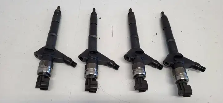 Nissan X-Trail T30 (2001 - 2007) 07F01878 Комплект жиклеров ГБО — фото 2