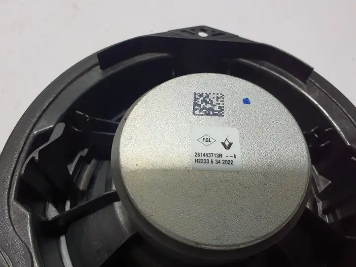 Renault Megane E-Tech (2022 - ) 281443713R Динамики задних дверей — фото 3