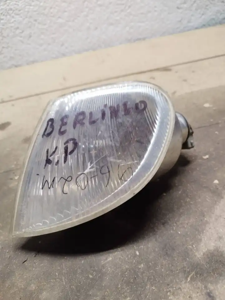 Citroen Berlingo (2003 - 2007) 9621302680 Указатель поворота передний — фото 3
